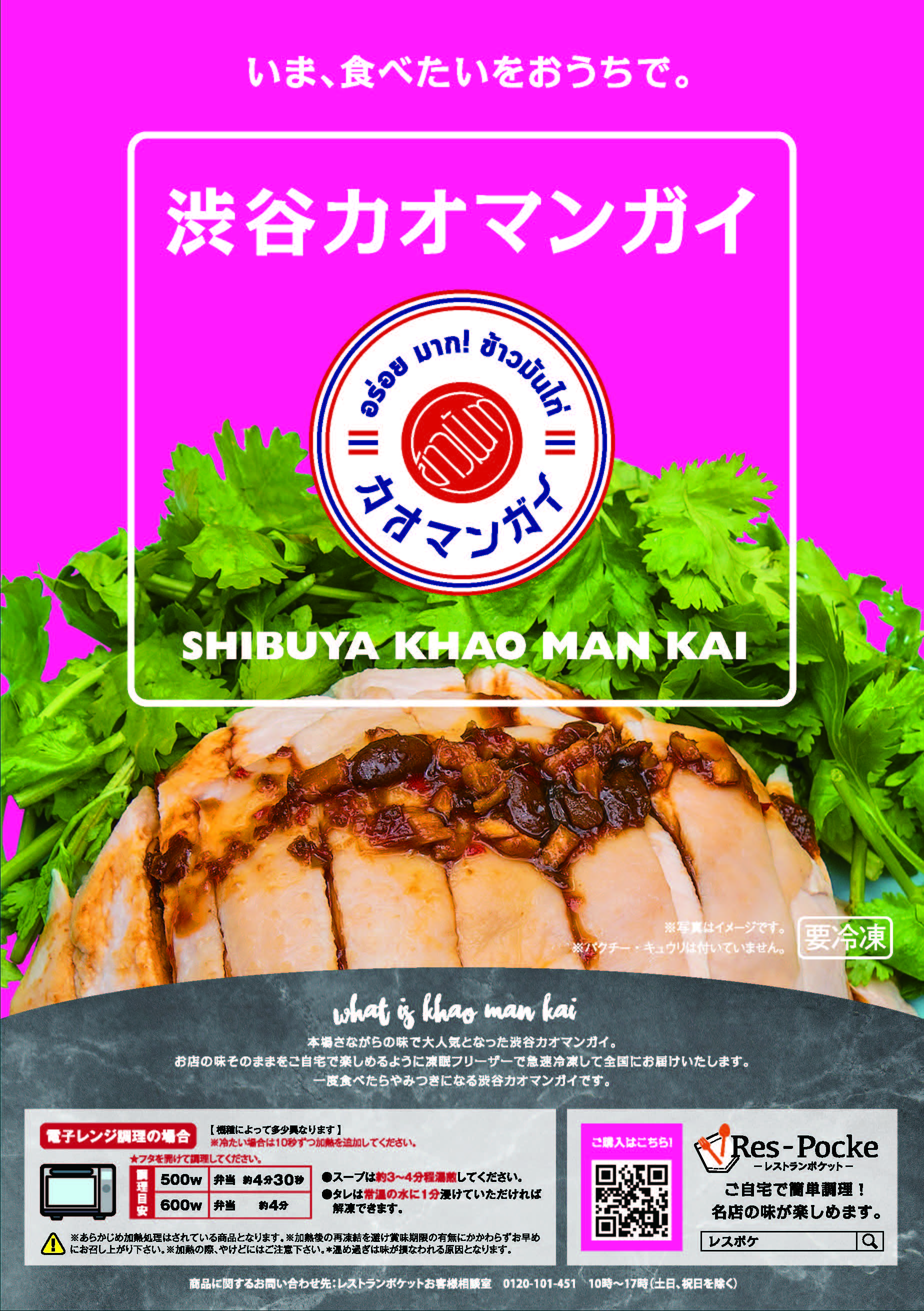 レスポケおすすめ！ 《おすすめ》送料無料！《渋谷カオマンガイ》 カオマンガイ＆グリーンカレー【各３食セット】